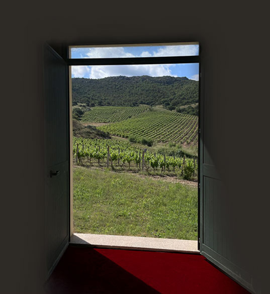 UnMareDivino - Porta Cantina Azienda Vinicola