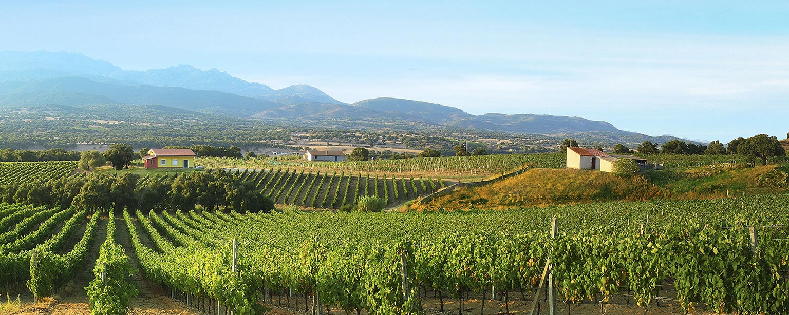 UnMareDivino - Berchidda (Sardegna)